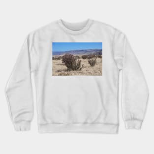 850_8543 Crewneck Sweatshirt